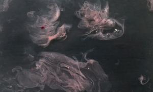 Growing cellulose (bacterial culture in liquid medium), Margherita Pevere, 2016. Foto: Margherita Pevere