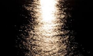 Hey Moon it's just you and me tonight #1- Leila Morrissey