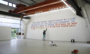 Hlynur Hallsson, courtesy: Kuckei + Kuckei, Berlin