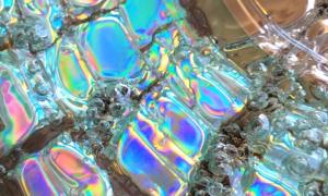 Paul Kneale, SEO & Co, 2015, Still  (closeup of microwaved CD)  Copyright Import Projects