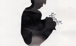 Image attached: © Niina Lehtonen Braun