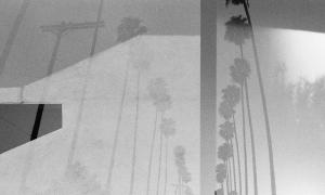 Michael Kent - California is not an Island, Das Gift