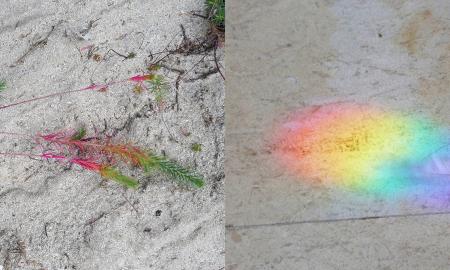 Polished/Raw a visual dialog between Berlin and Luxembourg based artists, photo by Neckel Scholtus 