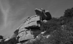 Photo: Ursula Nistrup