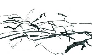 Ulrike Mohr, Anthrakothek, 2013  Photograph: Jens Ziehe, Temporäre Galerie Campus Rütli, Berlin copyright Ulrike Mohr / VG BildKunst