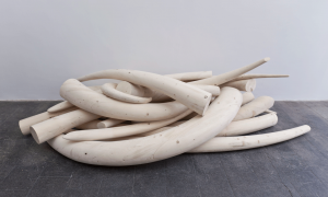 Oliver van den Berg, Courtesy Kuckei + Kuckei