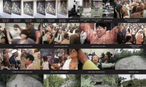  Peggy Buth. The Politics of Selection – Vom Nutzen der Angst, 2015