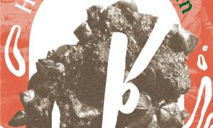 Design: Aziza Ahmad / Archive Books