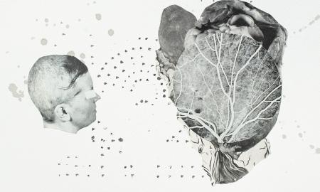 image credit Raphael-Vella