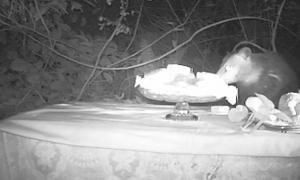 image credits: Dana Sherwood 