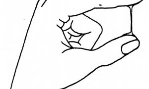 Zeichnung: Schleim auf dem Höhepunkt der Fruchtbarkeit (Spinnbarkeit) aus Clio 21/22 eine periodische Zeitschrift zur Selbsthilfe. Abgedruckt in: Gesundheitsbuch, editiert von Ulf Mann (Apothekerkollektiv am Viktoriapark), S. 330.