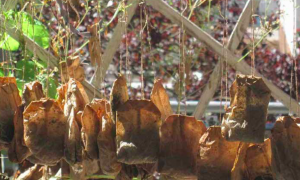  "Teebeutel" (© Renate Schweizer)