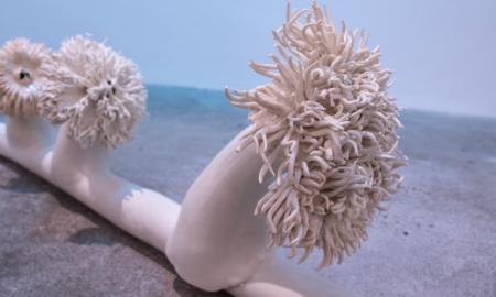 Caption: Elisa Strinna, Third Nature; Electrical Symbiosis; Cables and Sea  Anemone, 2021, photo: Elisa Strinna