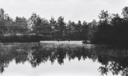 Katsutoshi Yuasa, ‘Nature Communications 2’, 2022. Oil-based woodcut on paper