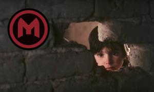 ©El espíritu de la colmena / The Spirit of the Beehive / Victor Erice SPEISEKINO MOABIT 2017 #17 / FOOD & FOOTAGE