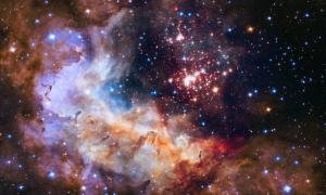  Lena von Goedeke, Sascha Appelhoff