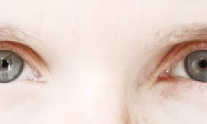 Tobias Sternberg 2017