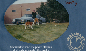 still from "The Snake in the Jar" by Luci Lux