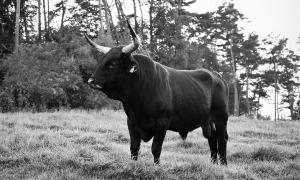 Ulrich Gebert - UR at KLEMM's