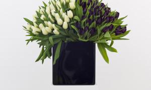 Willem de Rooij, Bouquet VI, 2010, 100 schwarze Tulpen, 100 weiße Tulpen / 100 black tulips, 100 white tulips, Vase / vase, Sockel / plinth Sammlung / Collection Stedelijk Museum, Amsterdam