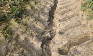 Water washes away the humus. Author Tom Albrecht