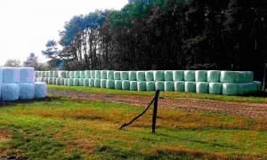  Heuplastik – © Tom Albrecht