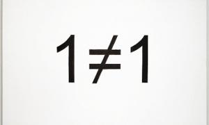 1 ≠ 1 - Korvin Reich