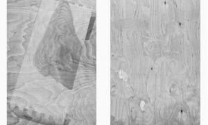 morph_Komposit 2 und 8, 70x50 cm, Fotografie Digitalprint, Bildrecht Wien, Walter Ebenhofer 