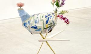 Peacock © image courtesy of Aurora Sander