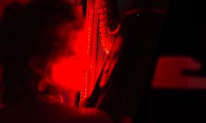 pressefoto_der rote morpheus_martina stock_2016_foto philipp wenning.