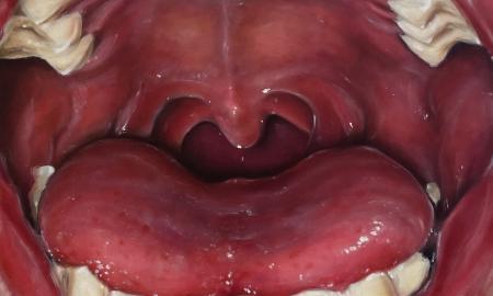 Marius Meyer-Jens, Untitled, 2024. Photo courtesy the artist.