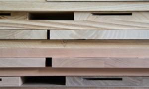 Mark Braun  4+1 Sox Berlin