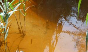 Spree braun, Copyright Tom Albrecht 